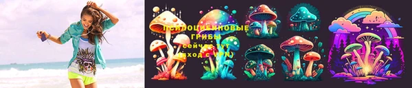 прущие грибы Бугульма