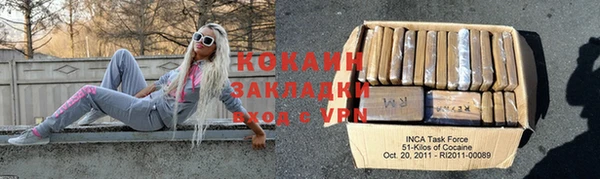 прущие грибы Бугульма